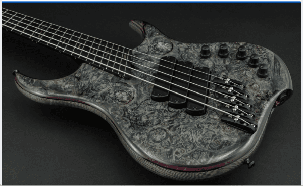 Dingwall Z3 Arbutus Burl