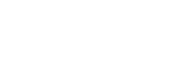 Bacci Guitars