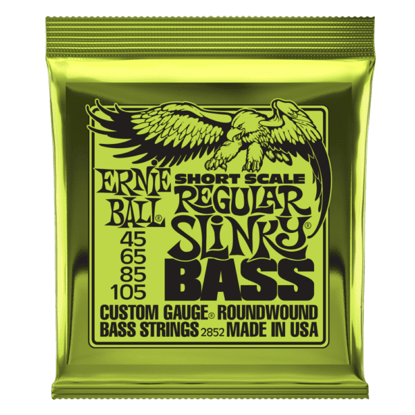 Ernie Ball Short Scale Regular Slinky Nickel Wound 45-105